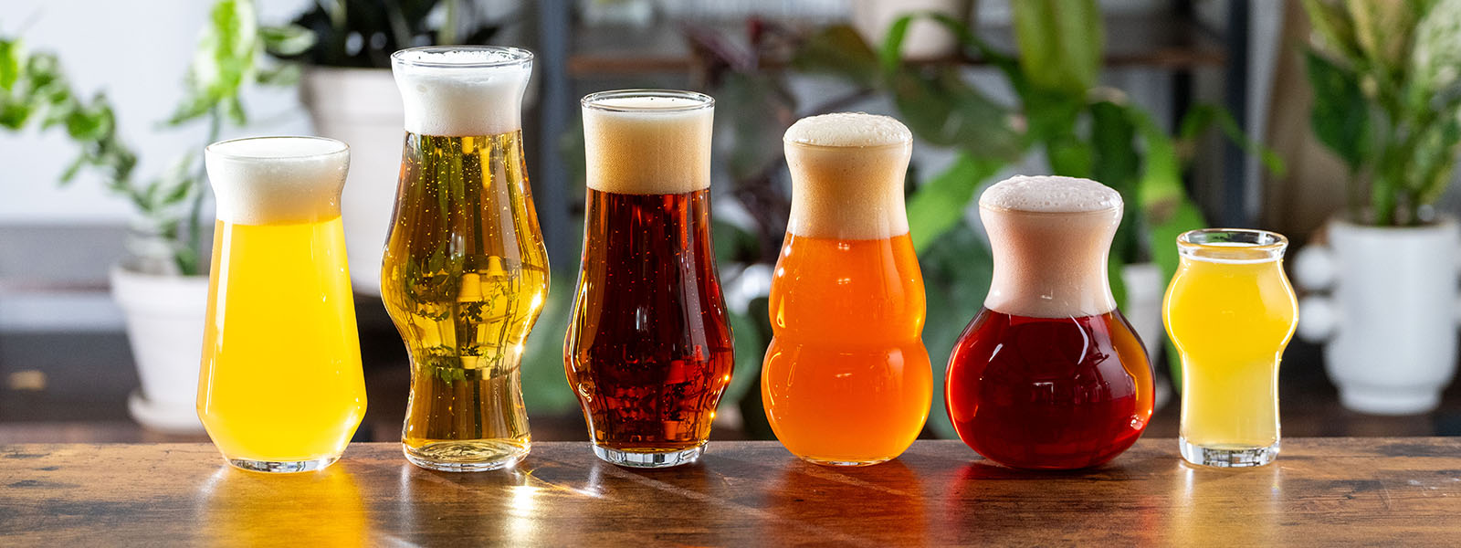 The Big Taproom Set: THE Beer Glass, Hazy, Pilsner, Tulip, New Fashioned Neat, Sequel (NO Mountain)