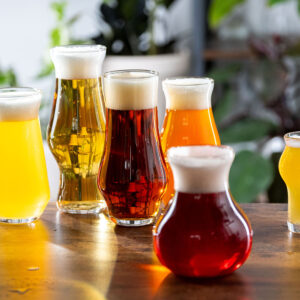 The Big Taproom Set: THE Beer Glass, Hazy, Pilsner, Tulip, New Fashioned Neat, Sequel (NO Mountain)